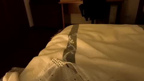 sevenorder online show from January 2025 05:04:02 AM