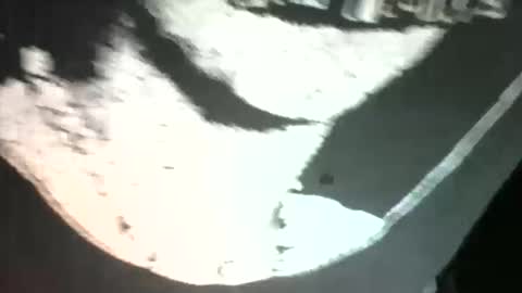 sexdeiv online show from March 2026 03:02:01 AM