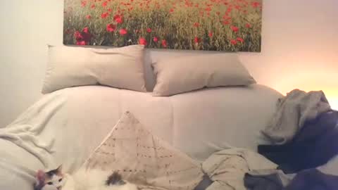 Sexurbation online show from December 2024 03:01:02 PM