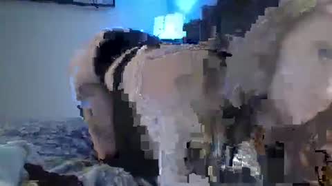 sexxileeah online show from January 2025 04:23:02 AM