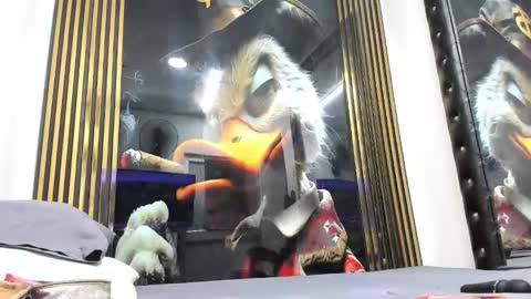 sexy78michell online show from February 2026 12:40:02 AM