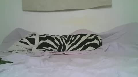 Ithan  Joel online show from November 2025 07:50:02 PM