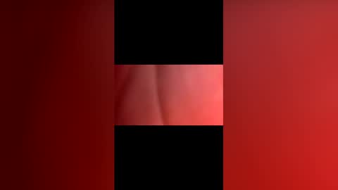sexyfoxboy55 online show from May 2026 12:07:01 AM