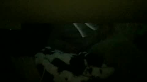 Snapshot of sexyftmfucktoy chatting on March 2026 04:15:02 AM SexyFTMFucktoy online show from March 2026 04:15:02 AM