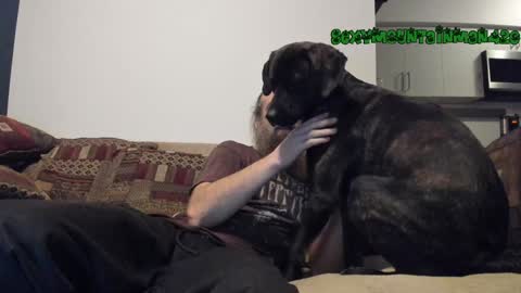 Snapshot of sexymountainman420 chatting on December 2024 07:06:02 AM Sexymountainman420 online show from December 2024 07:06:02 AM