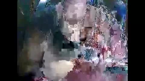 POOJA online show from December 2024 01:17:01 PM