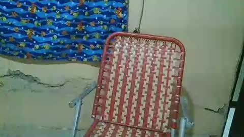 sexywolfnight online show from March 2026 12:15:01 AM