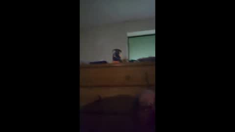 sgtbrown01 online show from April 2026 12:40:02 PM