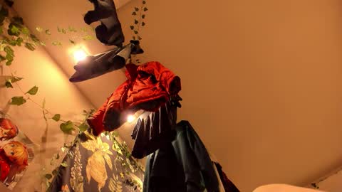 Snapshot of shadow_raffi chatting on November 2025 03:50:01 AM shadow_raffi online show from November 2025 03:50:01 AM