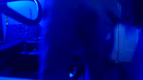 shagz2much online show from January 2025 08:19:01 AM