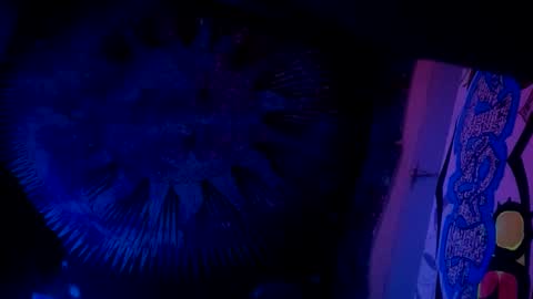 shagz2much online show from January 2025 11:54:02 AM