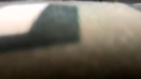 shaluk online show from March 2026 09:21:02 PM