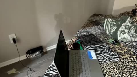 Shaman Woman online show from December 2024 01:14:01 AM