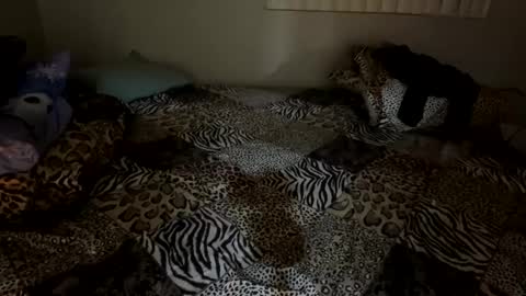 Shaman Woman online show from December 2024 02:57:01 AM