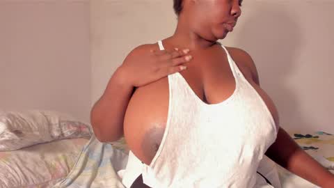 shack03 online show from December 2024 12:04:01 AM