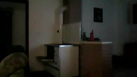 Snapshot of shaomy711 chatting on December 2024 01:06:01 PM excelo21 online show from December 2024 01:06:01 PM