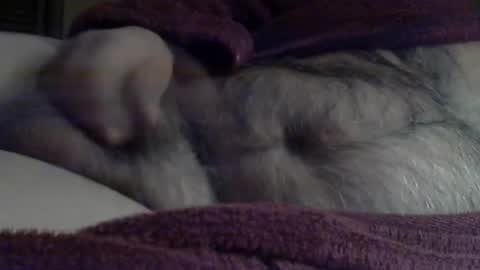 Sharkey644 online show from March 2026 09:04:01 AM