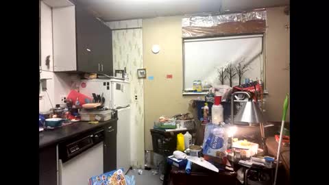 Shelby holes online show from December 2024 08:00:02 AM