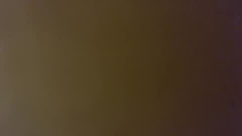 Shelby holes online show from September 2025 09:30:01 PM