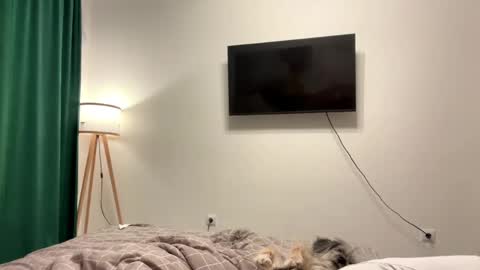 Eve online show from April 2026 08:17:02 PM