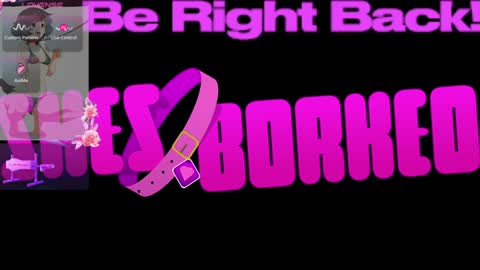 Snapshot of shesborked chatting on January 2025 02:56:02 PM Gina online show from January 2025 02:56:02 PM