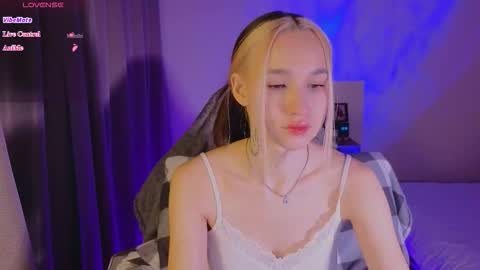 Sheyli online show from January 2026 03:36:01 PM