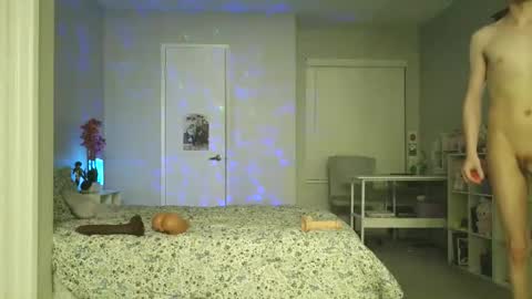 shotaroo online show from November 2025 09:52:02 AM