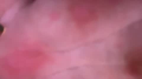 shurd7 online show from April 2026 11:06:01 PM