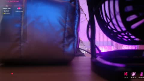 Siena online show from February 2026 11:50:01 AM