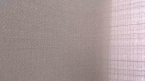 silk_ann online show from June 2026 02:56:01 AM