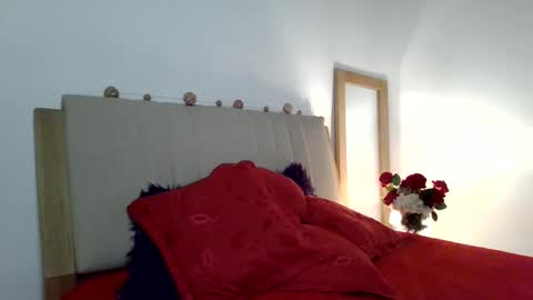 Snapshot of silk_diva chatting on May 2026 04:40:01 AM maria online show from May 2026 04:40:01 AM
