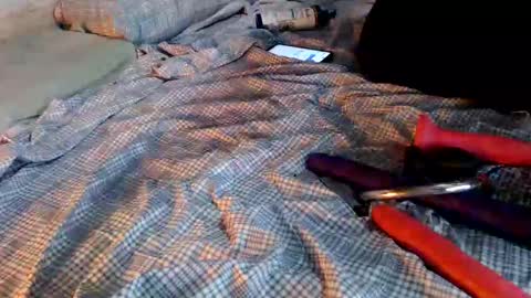 Miley online show from January 2025 02:07:02 AM