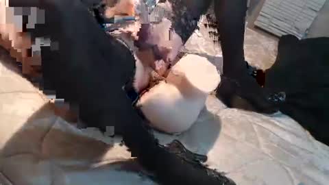 Miley online show from February 2025 01:23:02 AM