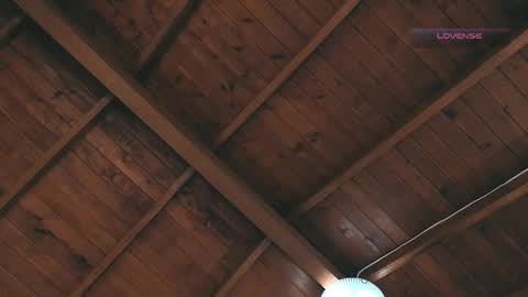 silvabranko online show from March 2026 12:02:01 AM