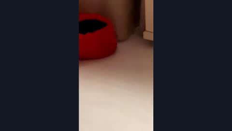 Snapshot of silvia998 chatting on March 2026 09:07:01 PM silvia998 online show from March 2026 09:07:01 PM