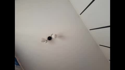 Snapshot of simpledi chatting on March 2025 07:42:02 AM simpledi online show from March 2025 07:42:02 AM