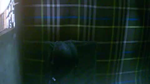 Snapshot of simply__me chatting on February 2026 12:07:02 AM simply__me online show from February 2026 12:07:02 AM