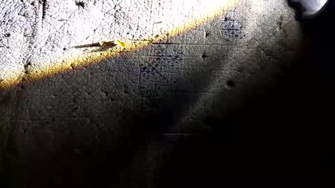 sinar2bulungan online show from February 2026 12:01:02 PM