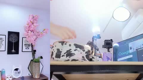 Siouxsie online show from February 2026 11:19:01 AM