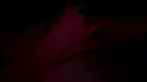 sir04 online show from September 2025 12:38:01 AM