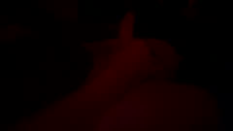 sir04 online show from October 2025 05:08:02 AM