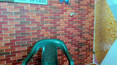 SIR RYANT online show from February 2025 12:34:01 PM