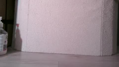 Snapshot of sis19student chatting on December 2025 02:19:01 AM Anal4BTC online show from December 2025 02:19:01 AM