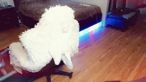 Snapshot of sissyashleigh chatting on April 2026 11:51:02 PM Ashleigh Mak online show from April 2026 11:51:02 PM