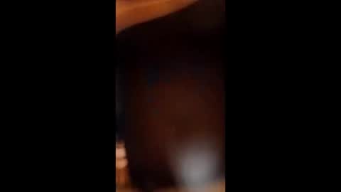 Snapshot of sissybottomcock chatting on December 2025 06:55:02 AM sissybottomcock online show from December 2025 06:55:02 AM