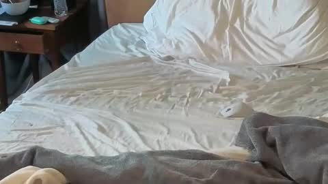 Sissy Submissive online show from April 2026 12:03:02 AM