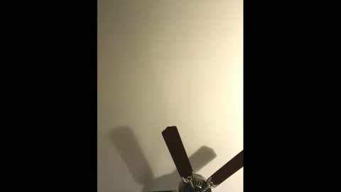 sissynovaholes online show from January 2025 02:56:02 AM