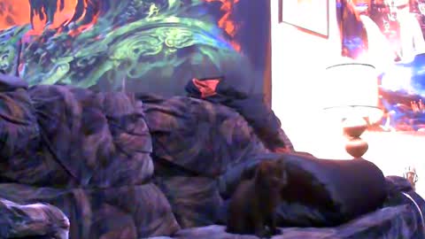 Jimmy B online show from January 2025 05:05:02 AM