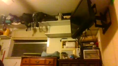 Snapshot of skewedviewblue chatting on December 2025 03:37:02 AM skewedviewblue online show from December 2025 03:37:02 AM