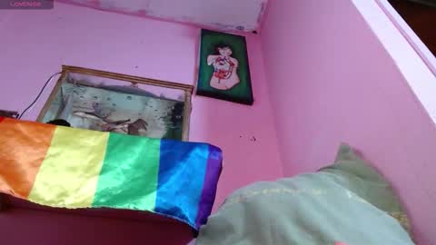 skinny1hugecock27 online show from December 2025 08:35:01 PM